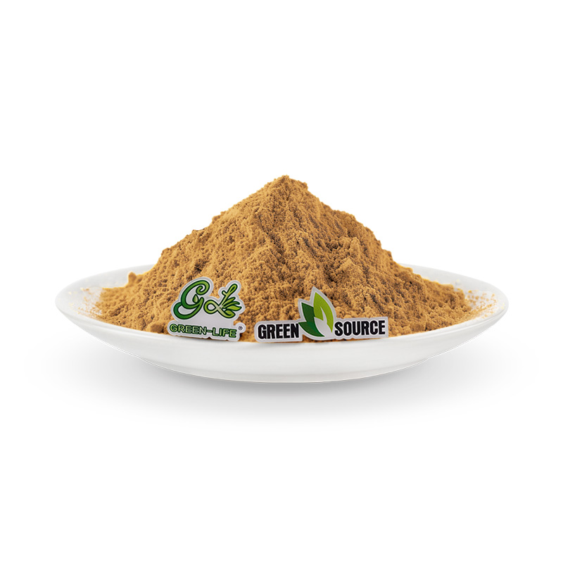 Green Herb Life Pure Natural Ginkgo Biloba Extract 10:1 Best Price Bulk Nutraceutical &amp; Herbal Supplement Supplier
