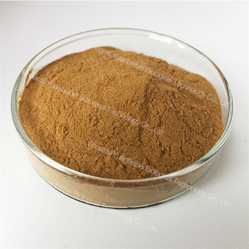 Bulk Wholesale Pure Organic Plant Extract 10:1 Stinging Nettle Root Extract Powder