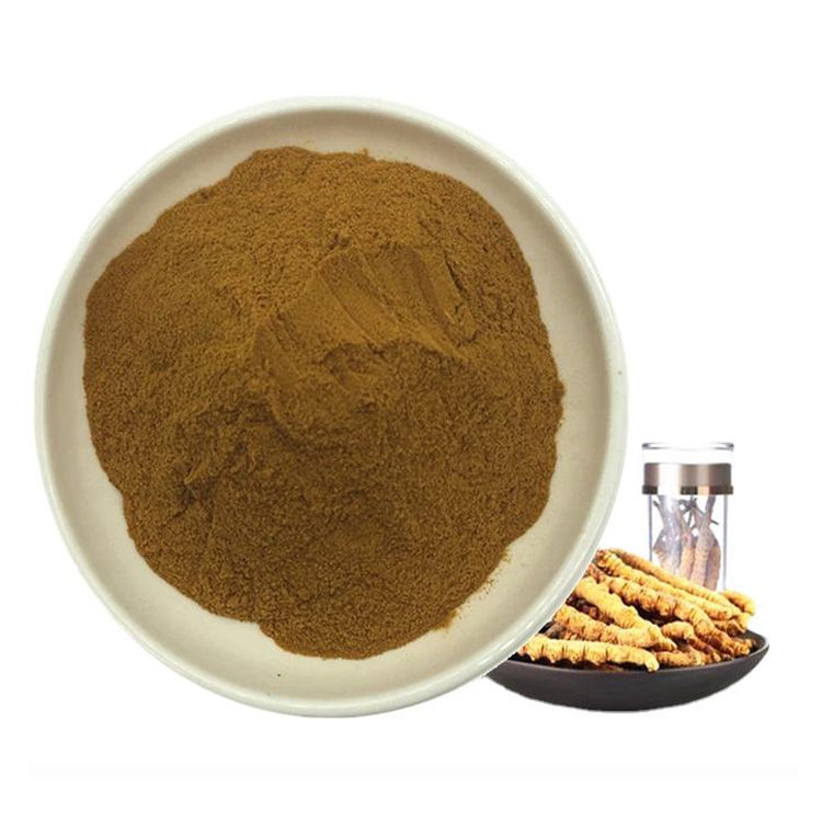 Cordyceps Sinensis Extract