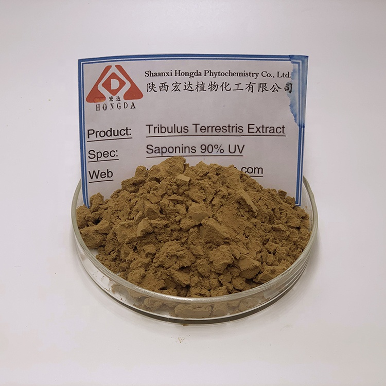 Tribulus Terrestris Extract Powder