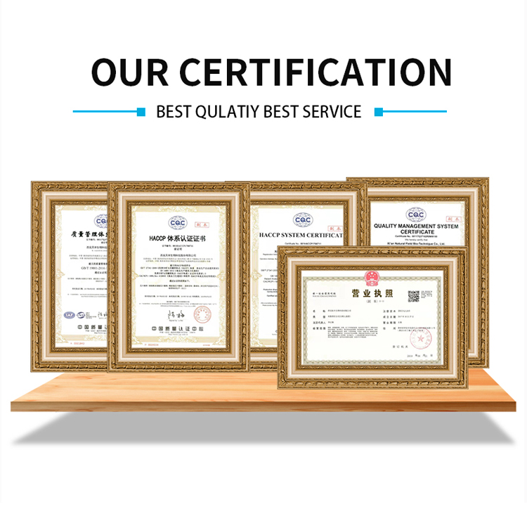 Quality Certificate Checks
