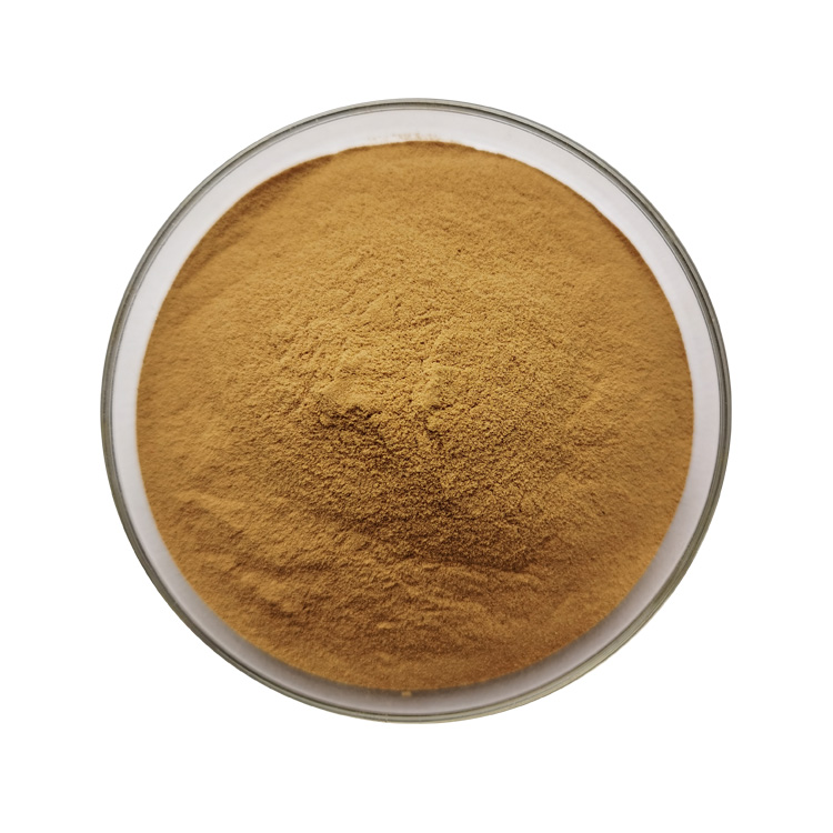 High Quality Natural Organic Quillaja Saponaria Bark Extract Powder