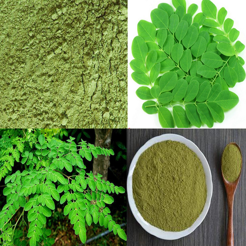 Moringa Function