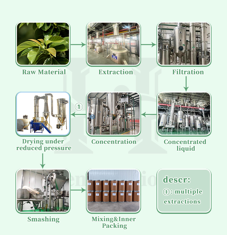 Wholesale Natural Nutraceutical Grade Ingredient Griffonia Seed Extract 98% 5-htp Griffonia Seed Extract Powder