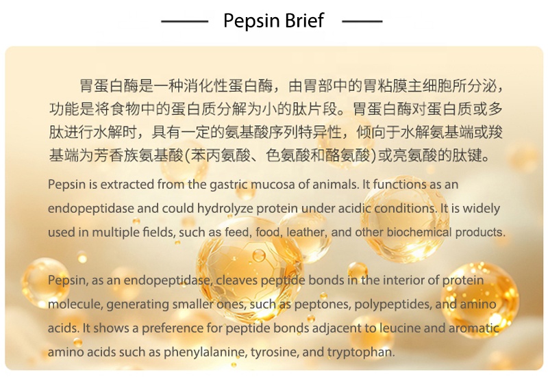 Pepsin Enzyme (1000 Activity) For Applications In Food Processing, Feed, And Leather Processing ,etc.