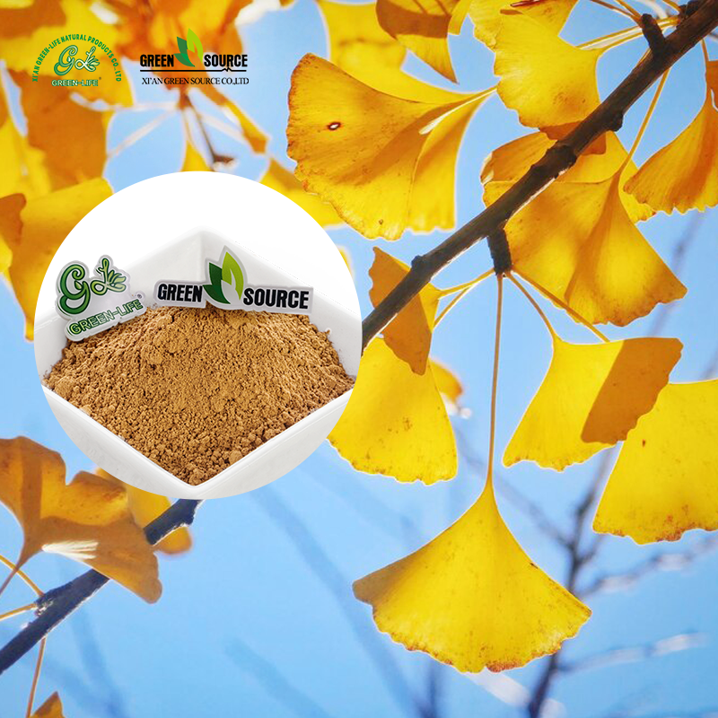 Ginkgo Biloba Extract showcase 1