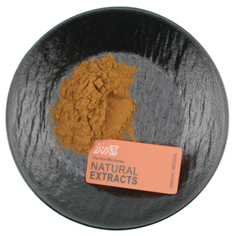 Factory Supply High Quality Raw Material Bulk Supply OEM Lotus Leaf Extract