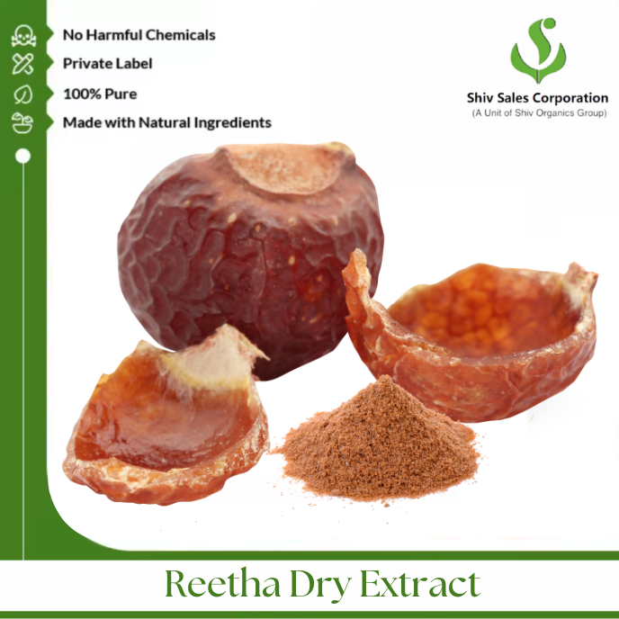 Plant-Derived Aritha Dry Extract Powder for Cosmetic Manufacturing Consistent Quality and Bulk Packaging Solutions