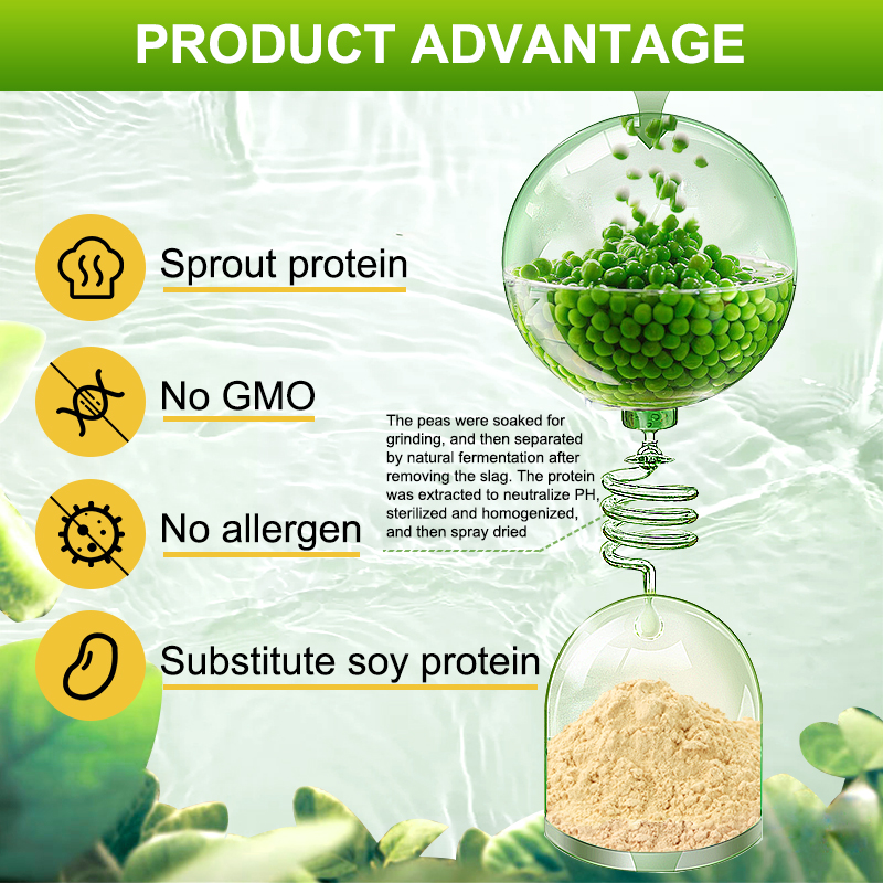 100% Organic Hydrolyzed Pea Protein Isolate Powder Vegan Chocolate Flavor Plant-Based Nutrition Enhancer