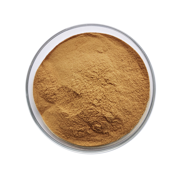 High Purity Fenugreek Extract Powder Standardized 50% Saponins Natural Trigonella Foenum-graecum Extract Raw Material Bulk