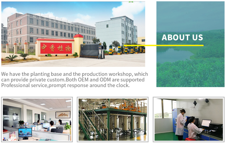 Company Facility 1