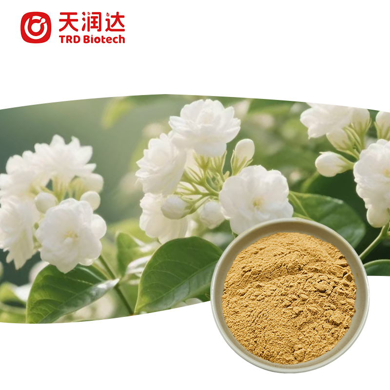 Bulk Jasmine Flower Extract Natural Plant Derived Powder for Functional Food Beverage Application