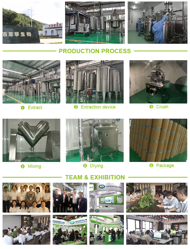 Production Facility