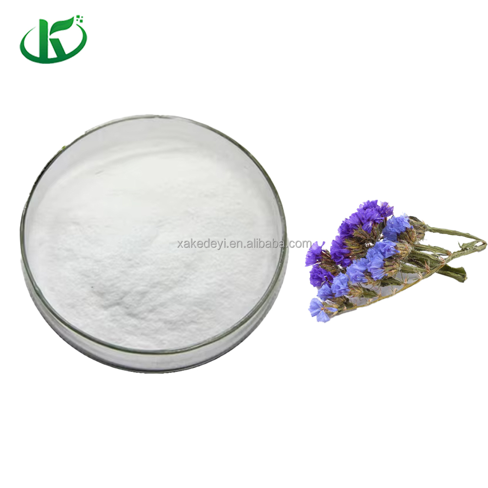 Plant Derived Ecdysterone for Muscle Growth with Natural Anabolic Activity