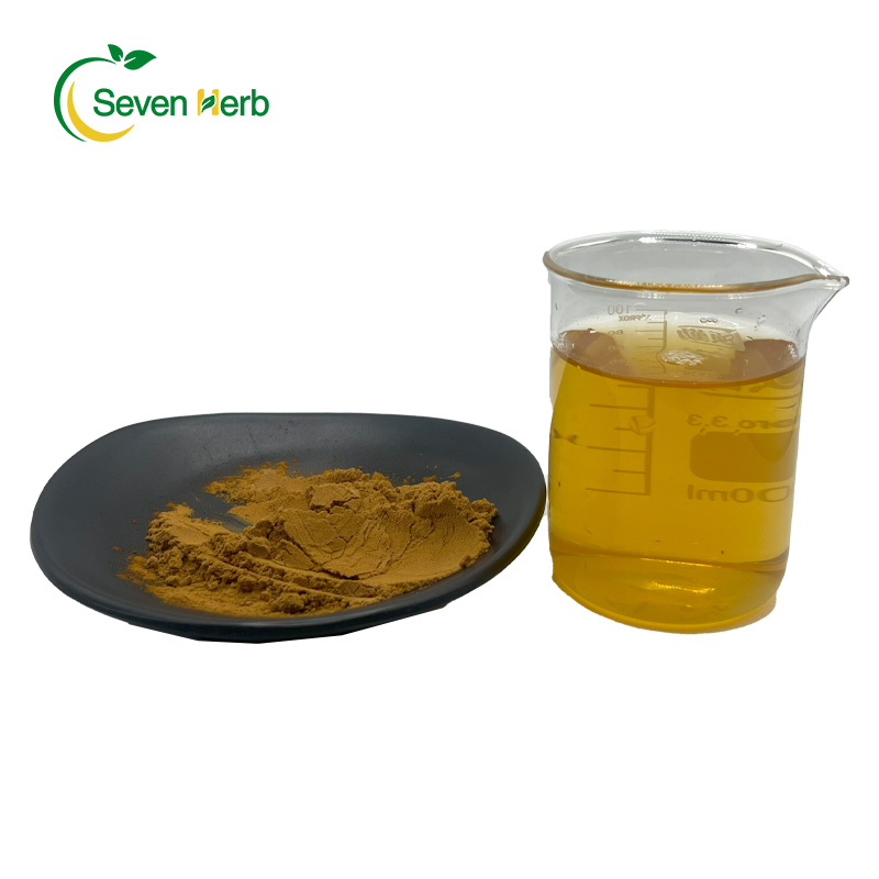 High Quality Rosemary Oleoresin Extract Food Grade Rosemary Leaf Extract
