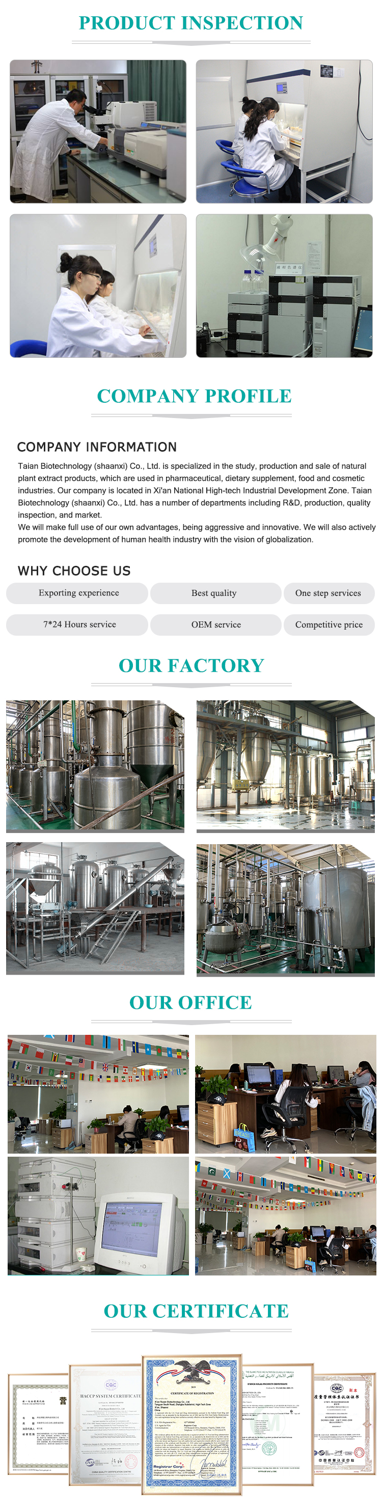 Company Profile