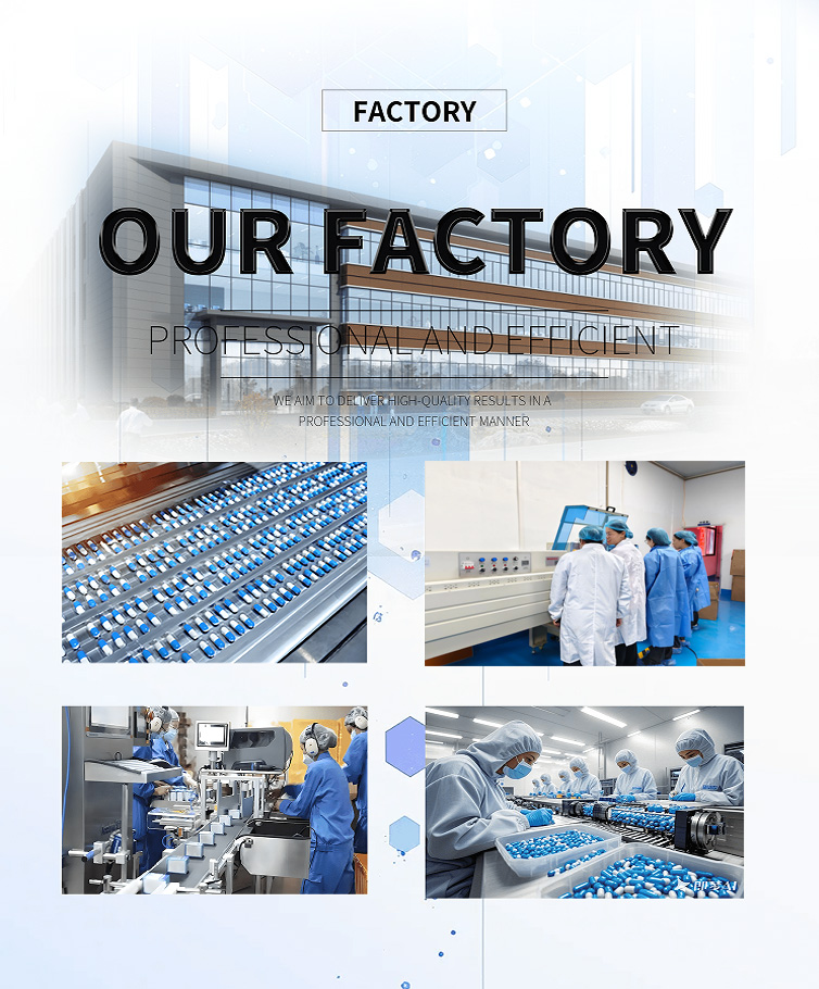 Company Image 5