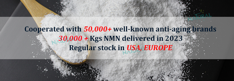 NMN Product Banner