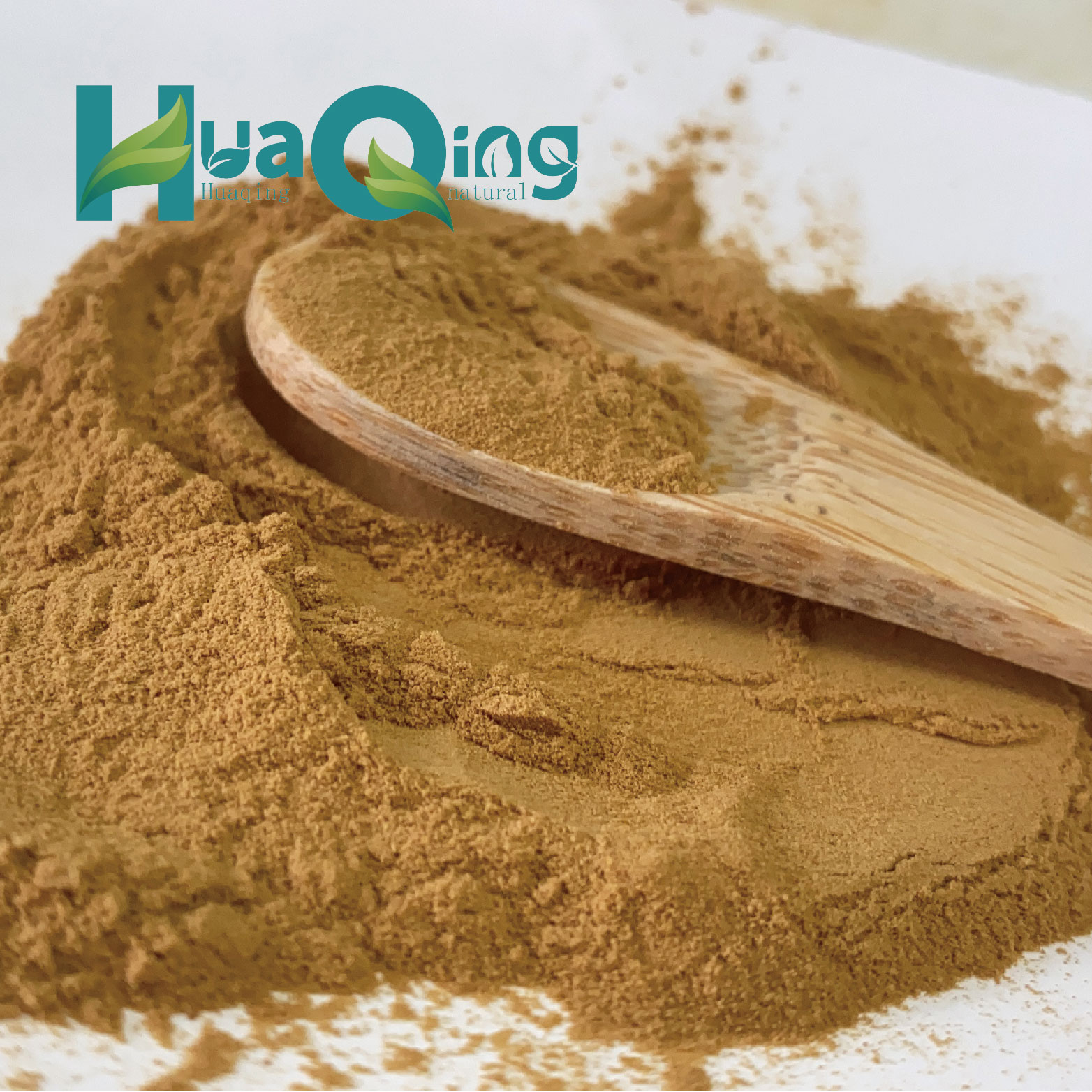 100% Pure Natural Organic Cirsium Japonicum Extract Powder Herb HPLC Tested Packed in Plastic Container