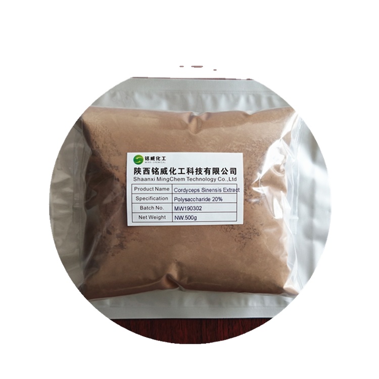 Bulk Natural Health Supplement Cordyceps Sinensis Extract Polysaccharide 20% Powder