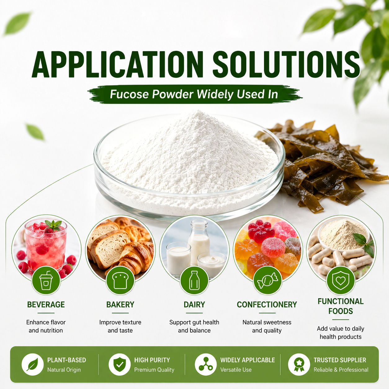 Cosmetic Grade L-Fucose Powder Skin Moisturizing Anti-Aging Ingredient For Biochemistry Research