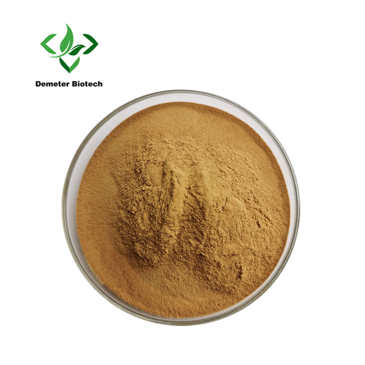High Quality Natural Organic Quillaja Saponaria Bark Extract Powder