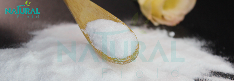 Product Banner