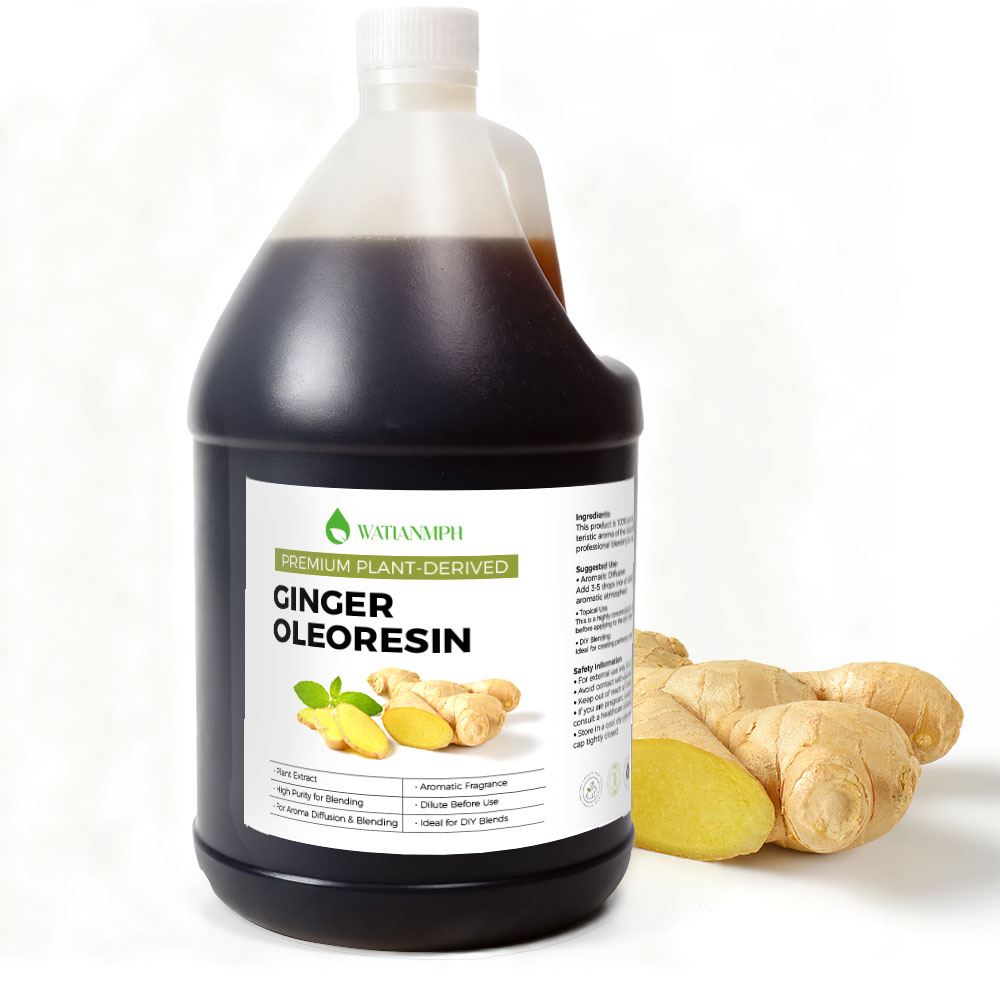 Ginger Oleoresin Essential Oil Fresh Fragrance for Reed Diffuser Air Freshener