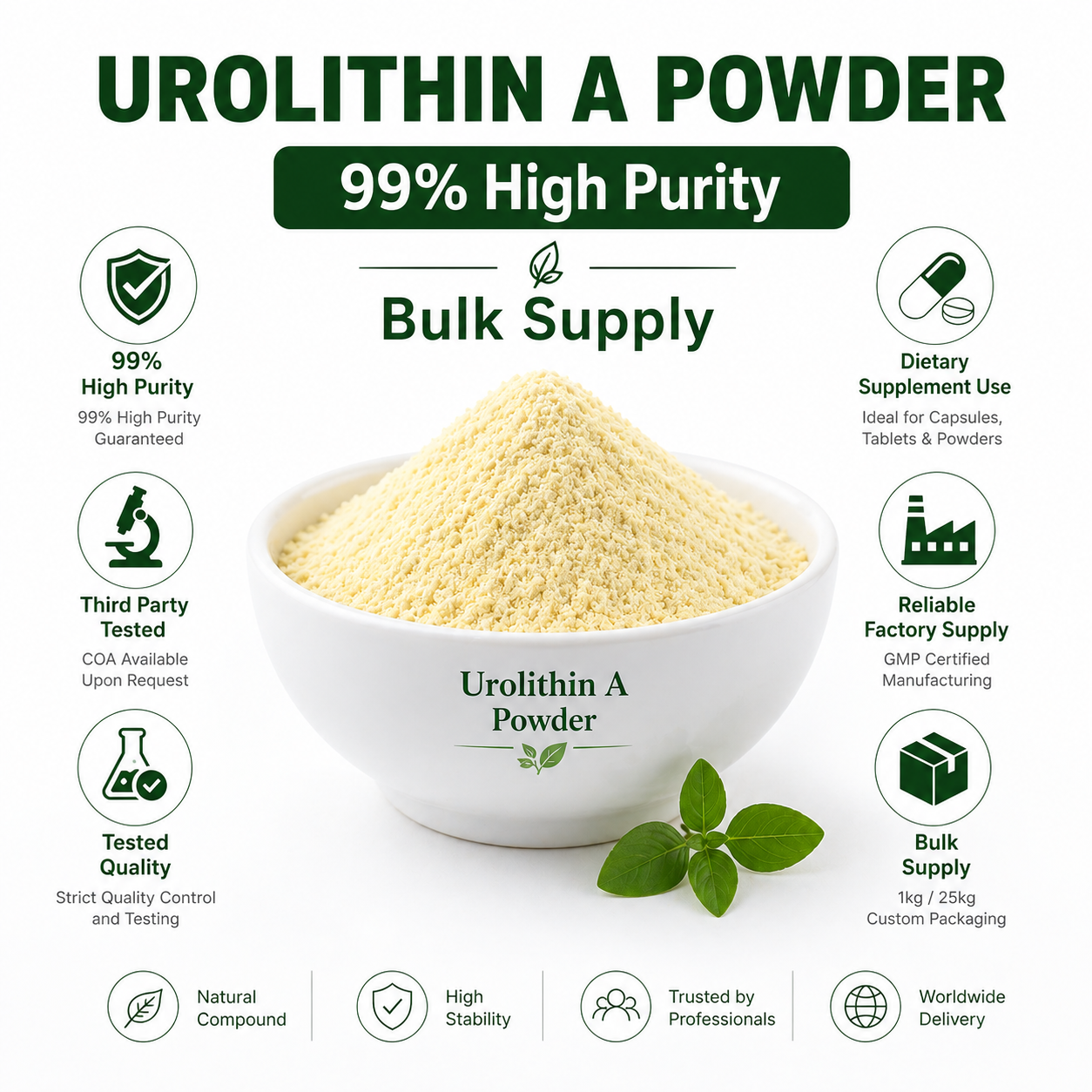 Bulk Urolithin a Powder 98% CAS 1143 70 0 OEM ODM Private Label Anti Aging Nutraceutical Ingredient China Factory Supply