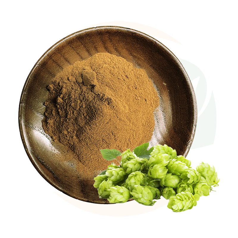 GloweHerb Hop Extract Powder Xanthohumol 5% with Standardized Content, Fine Texture Stable Quality for Functional Formulations
