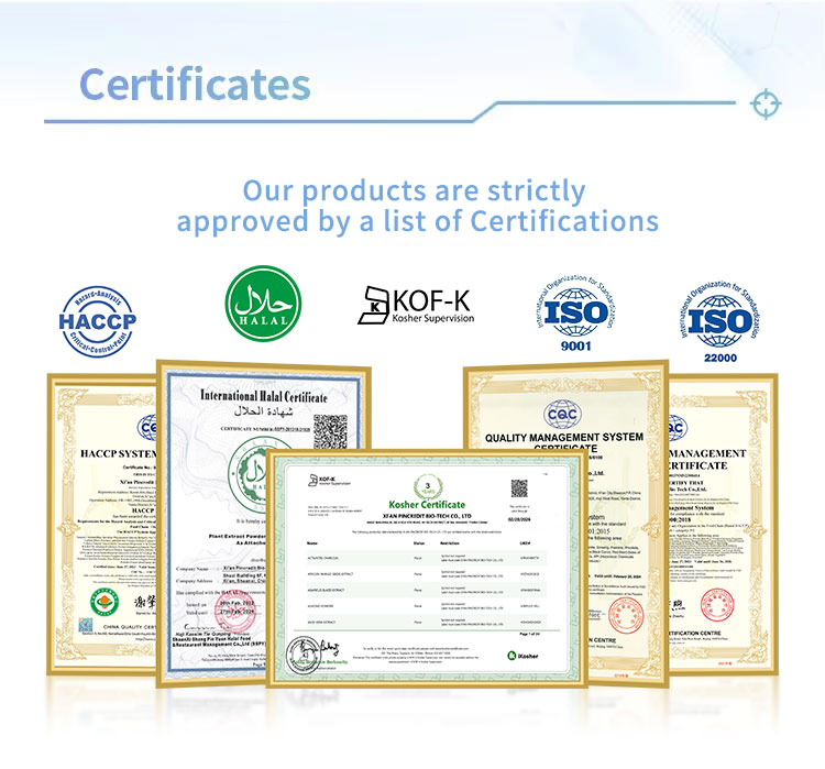 Quality Testing Lab