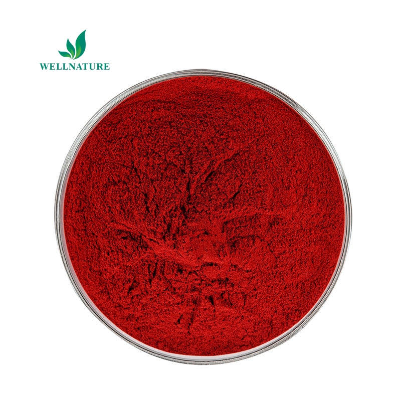 Wholesale Water Soluble Natural Dry Red Pigment Cochineal Carmine Powder 50% Carminic Acid Edible Food Coloring