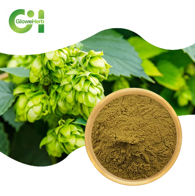 GloweHerb Hop Extract Powder Xanthohumol 5% with Standardized Content, Fine Texture Stable Quality for Functional Formulations