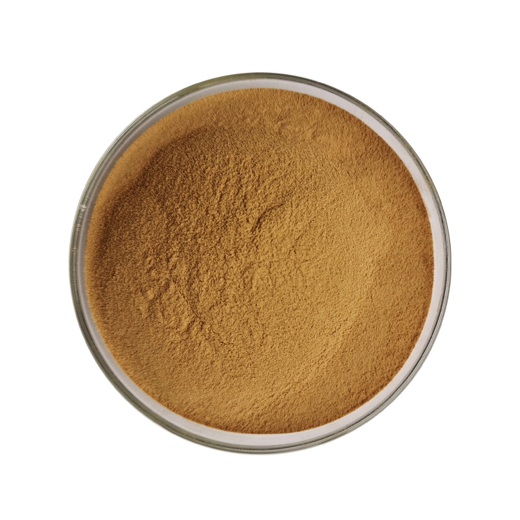 High Quality Natural Organic Quillaja Saponaria Bark Extract Powder