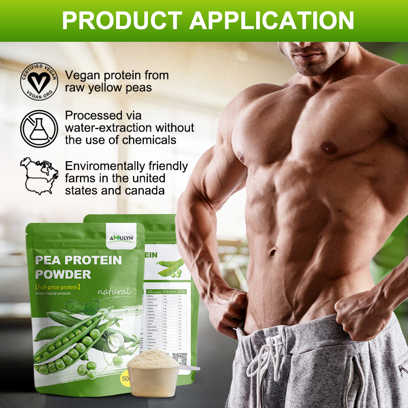 100% Organic Hydrolyzed Pea Protein Isolate Powder Vegan Chocolate Flavor Plant-Based Nutrition Enhancer