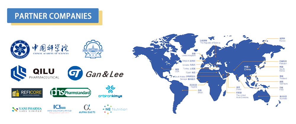Sales and Service Network
