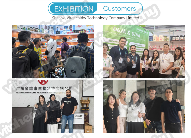 Exhibition