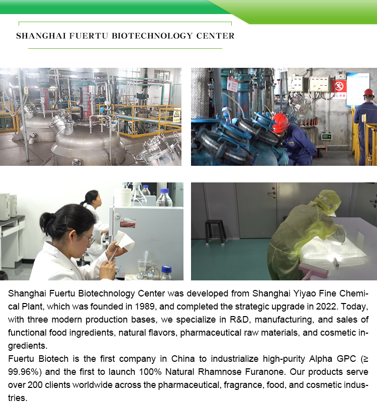 Company Profile