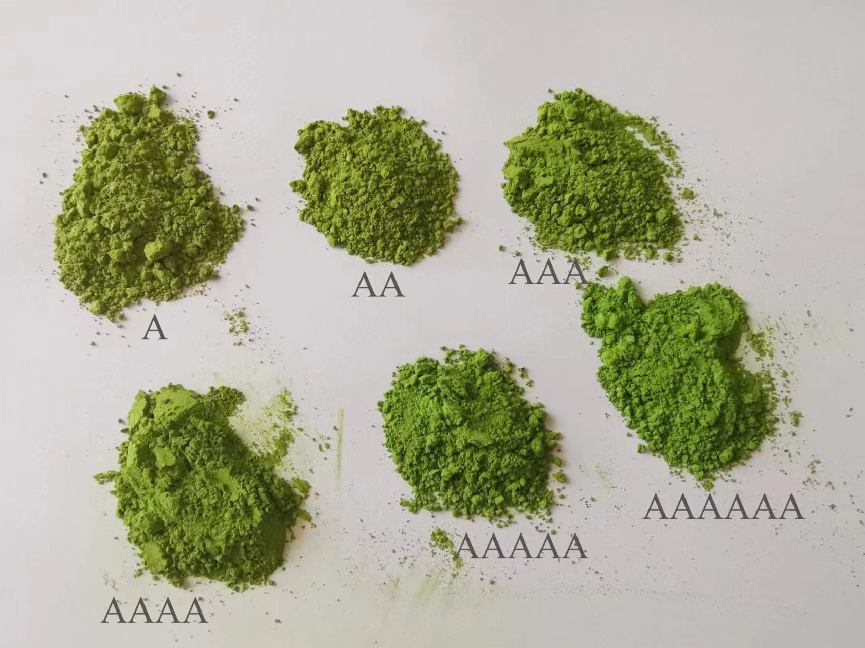 Matcha Cultivation