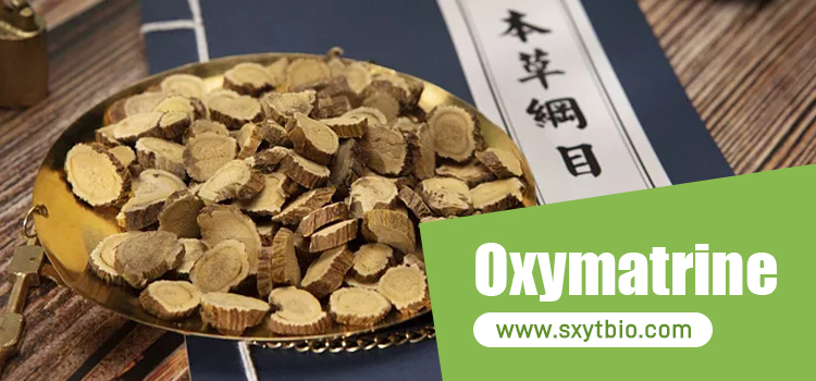 Oxymatrine Introduction Banner