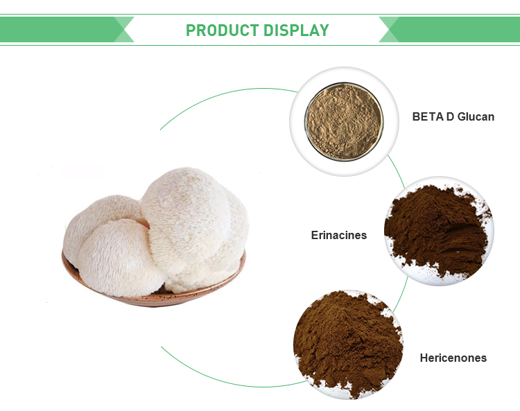 Lions Mane Mushroom Dual Extract Triterpenes 4.0 Hericenones Erinacines Bulk Powder