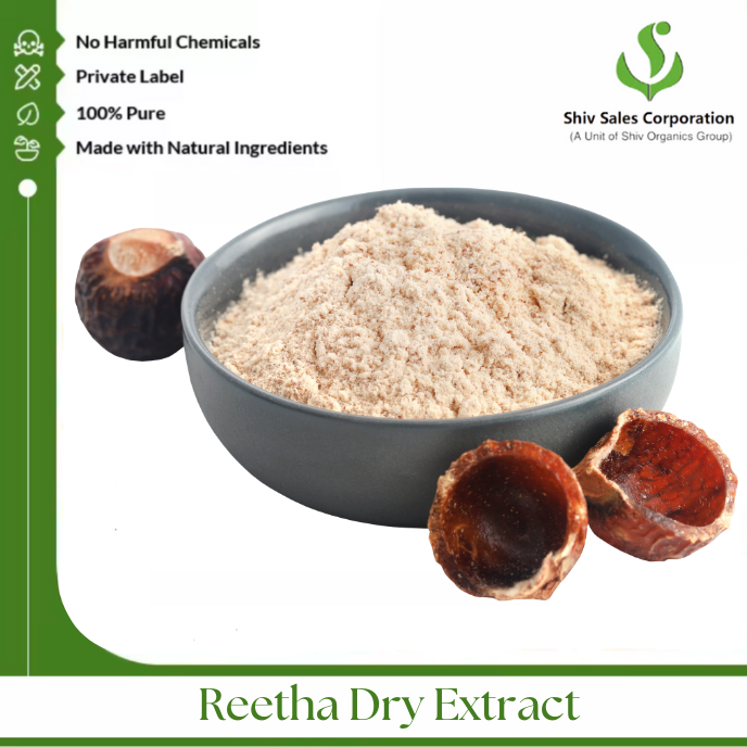 Plant-Derived Aritha Dry Extract Powder for Cosmetic Manufacturing Consistent Quality and Bulk Packaging Solutions