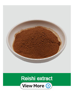 Lions Mane Mushroom Dual Extract Triterpenes 4.0 Hericenones Erinacines Bulk Powder