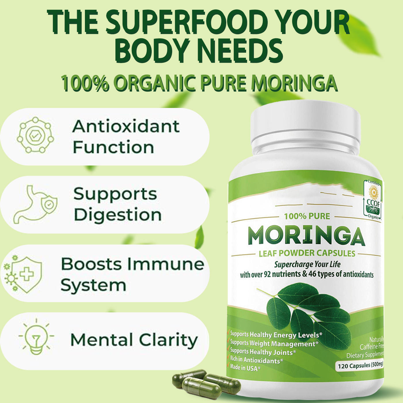 Wholesale Price OEM ODM Private Label Pure Natural Moringa Leaf Capsules Antioxidant Immune Support Energy Plus 120 Capsules