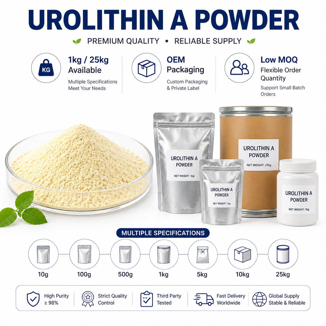 Bulk Urolithin a Powder 98% CAS 1143 70 0 OEM ODM Private Label Anti Aging Nutraceutical Ingredient China Factory Supply
