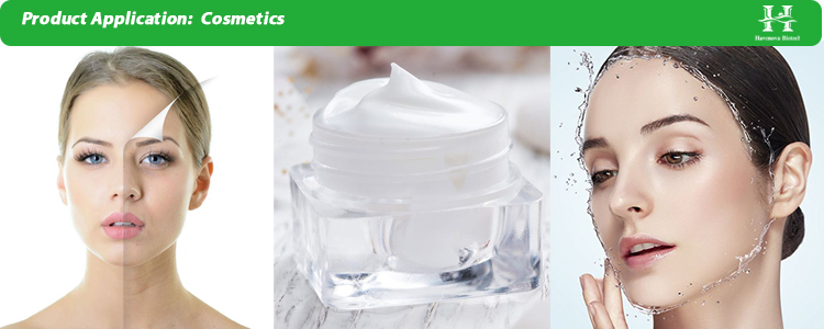 Cosmetics Ingredients