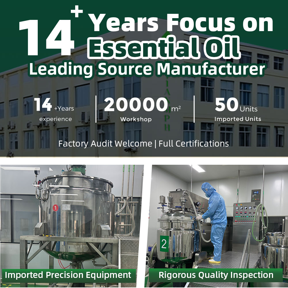 Plant-derived Root Extract Scientific Distillation Good Oil Solubility for Blending Stable Physical Properties Various Packaging