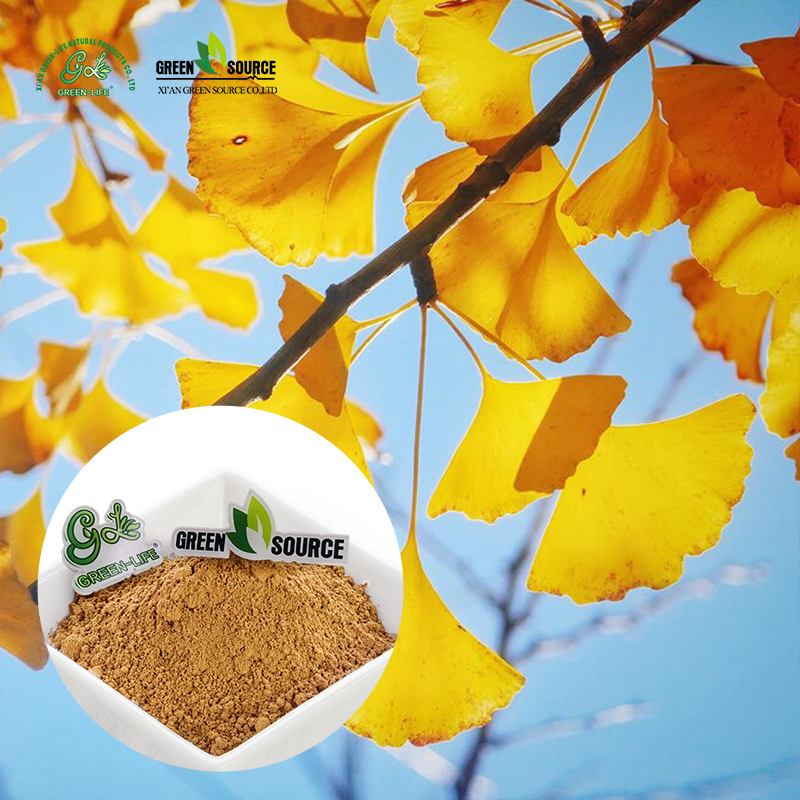 Green Herb Life Pure Natural Ginkgo Biloba Extract 10:1 Best Price Bulk Nutraceutical &amp; Herbal Supplement Supplier