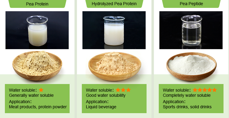 Pea Protein Application 1