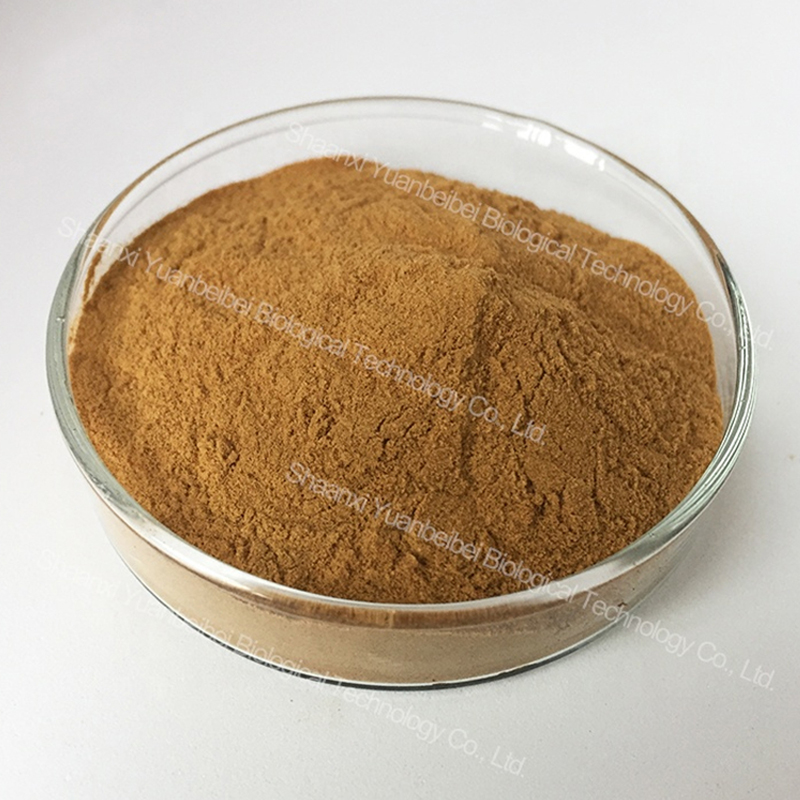 Nettle Powder Production Process